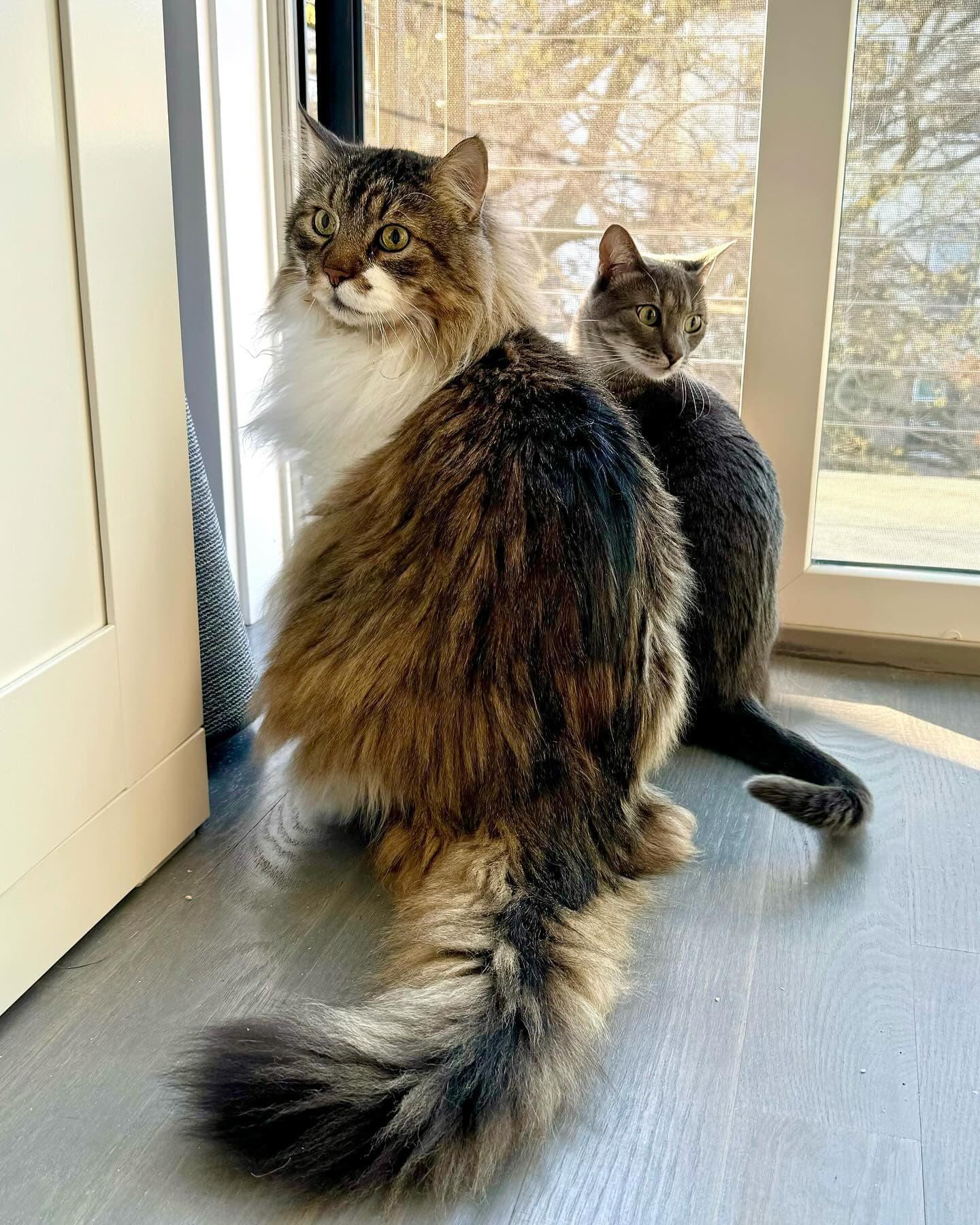 Fred and Mojo together