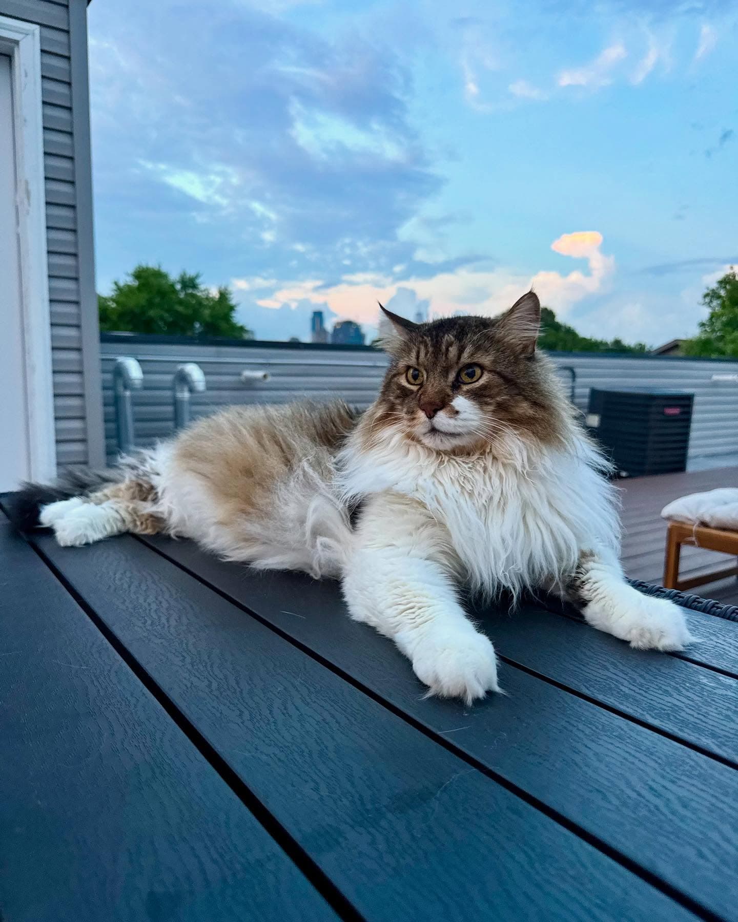 Fred on the rooftop